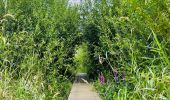 Percorso Marcia Diepenbeek - La vallée du Démer - La réserve naturelle Dorpsbemden à Diepenbeek - Photo 4