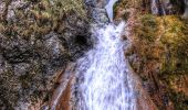 Trail On foot Sasca Montană - Sasca Montană – Cascada Șușara – Cărbunari (blue plus) - Photo 1