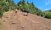 Trail Walking Aydat - 2025-06-20 Le Puy de la Vache - Photo 4