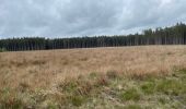 Trail Horseback riding Theux - Ninglinspo  - Photo 8