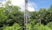 Tocht Te voet Naumburg (Saale) - Kaltes Tal Wanderweg - Photo 9