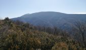 Excursión Senderismo Beaumont-du-Ventoux - sommet de la plate - Photo 11