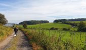 Tour Wandern Ciney - Balade à Leignon - Ciney - Photo 2