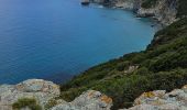 Tocht Stappen Ersa - cap corse - Photo 1