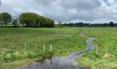 Trail Walking Neufchâteau - Longlier - marche chestrolaise 2019 10km - Photo 7