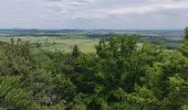 Excursión Senderismo Ernolsheim-lès-Saverne - 2019-05-30 Marche Mt St Michel Ernolsheim les Saverne Reel - Photo 4