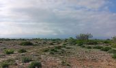 Trail Walking Leucate - plateau de leucat sud-est sans grand route  - Photo 14