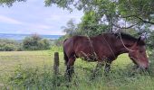 Trail Walking Aywaille - Le tour de septroux - Photo 6