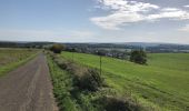 Excursión Senderismo Virton - La Charmouthienne_boucle_Ethe_15km_2019-10-13 - Photo 7