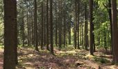 Tour Wandern Spa - Promenade d'Orléans - Photo 2