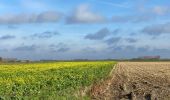 Percorso Marcia Sint-Laureins - Sint-Margriete 23 km - Photo 3