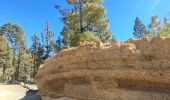 Tour Wandern Vilaflor - Lunar Landscape Hike in Villaflor (Tenerife) - Photo 17