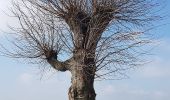 Tour Zu Fuß Beekdaelen - Zevenmijlslaarzenroute - Photo 6