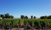 Randonnée Marche Saint-Laurent-Médoc - autour de Pauillac  - Photo 6