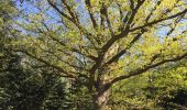 Excursión Bicicleta híbrida Verviers - Bois du Staneux  - Photo 3