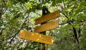 Trail Walking Lent - roro - Photo 4