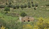 Trail On foot Galil Elyon Regional Council - IL-2136 - Photo 3