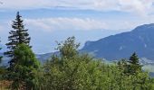 Tour Wandern Lans-en-Vercors - Du col de croix de Perrin au Pas de Bellecombe - Photo 7