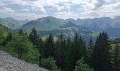 Percorso Marcia Le Grand-Bornand - balade - Photo 2