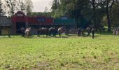 Tour Reiten Buchsweiler - rando acpl chez sandra 13 10 24 - Photo 4