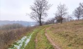 Trail Walking Anhée - La promenade des pelouses calcaires  - Photo 15
