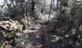 Trail Walking Saint-Saturnin - Vers l'antenne de La Canourgue - Photo 1