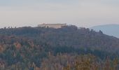 Randonnée Marche Eguisheim - Randonnée 5 châteaux - Eguisheim - château d'Hagueneck - château de Hohlandsbourg - trois châteaux d'Husseren - Photo 4