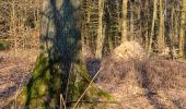 Trail On foot Haltern am See - Granat Rundweg A6 - Photo 6
