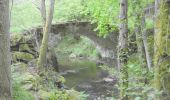 Excursión Senderismo Olloix - Tracé_25-MAI-19 113424 - Photo 2