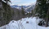 Percorso Racchette da neve Manigod - S7 - Photo 1