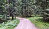Trail Walking Lavoine - Les sources de la Besbre - Photo 1