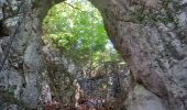 Excursión Senderismo Saint-Julien-en-Vercors - La porte du Diable - Photo 11