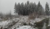 Excursión Senderismo Hotton - Bois de Hampteau bis - Photo 2