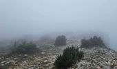 Trail Walking Plan-d'Aups-Sainte-Baume - Sainte Baume dans le brouillard 01-03-2025 - Photo 9