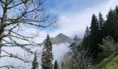 Tour Wandern Bernex - Boucle depuis Pre Richard.. - Photo 18