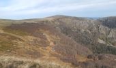 Tour Wandern Woll - mon sentier des névés : hohneck . kastelbergwasen . firstmiss . breitsouze . Le hohneck  - Photo 13