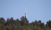 Tour Zu Fuß Wildberg - Sulz am Eck - Wildberg - Photo 10