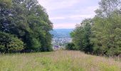 Trail Walking Aywaille - Le tour de septroux - Photo 4