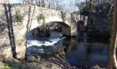 Randonnée Marche Chadeleuf - LES CROIX-BASSES - Photo 14