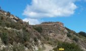 Trail Walking Collioure - Tour de Madeloc par les cols 15 km 741 m D+ - Photo 7