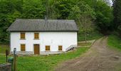 Tour Zu Fuß Park Hosingen - Klangwanderweg - Photo 3