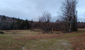 Tour Wandern La Chapelle-en-Vercors - Serre Plumé  - Photo 6