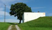 Percorso A piedi Wangen im Allgäu - Wanderweg 7 Wangen im Allgäu - Photo 7