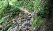 Trail Walking Mouthier-Haute-Pierre - Gorges de Nouailles - Source de la Loue - Photo 10