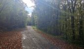 Tocht Stappen Hotton - Ny à travers bois et chemins de campagne - Photo 5