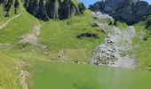 Trail Walking Le Grand-Bornand - AIGUILLE VERTE boucle - Photo 7