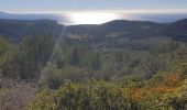 Trail Walking Saint-Cyr-sur-Mer - LA DUNE - Photo 1