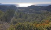 Randonnée Marche Saint-Cyr-sur-Mer - LA DUNE - Photo 1