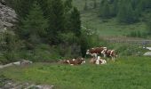 Randonnée A pied Sand in Taufers - Campo Tures - IT-9B - Photo 4