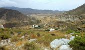Trail On foot Níjar - Loma Pelada - Photo 10